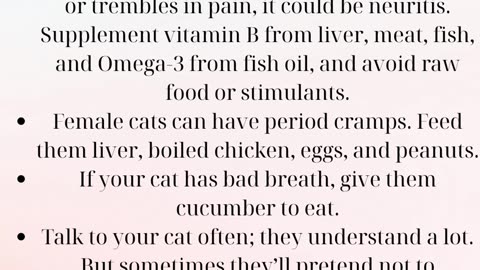 Cats life
