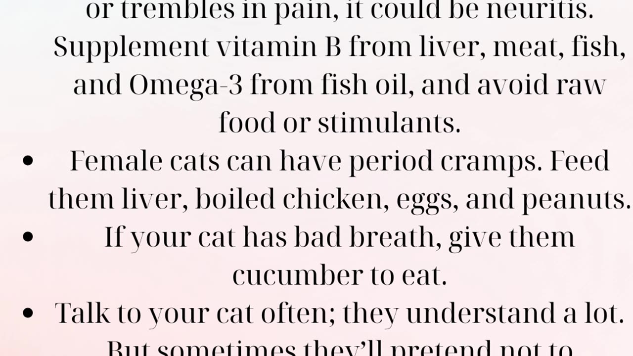 Cats life