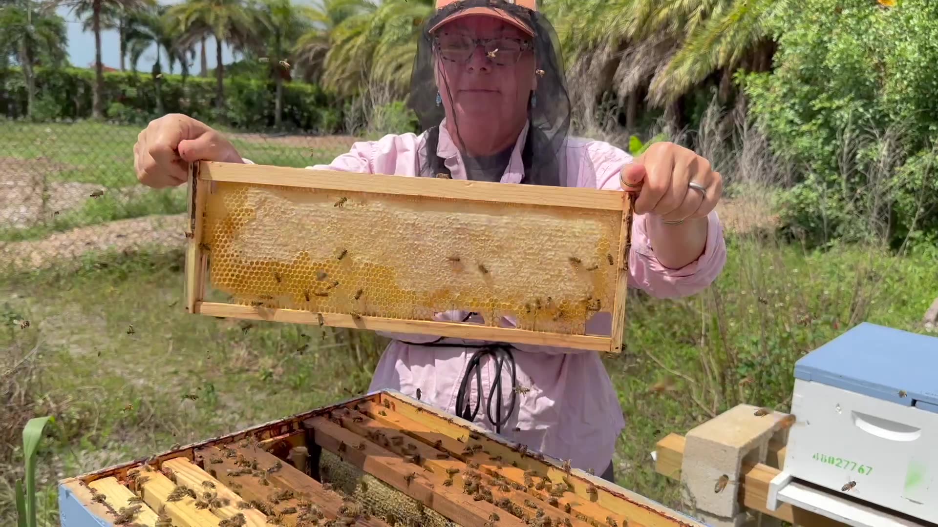 Confronting Fear of Bees with a Tour Through Bee Hives! Bees Are AMAZING! w/ Ambee Assemble
