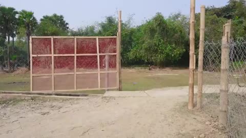 Funny viral video