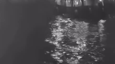 Greta Thunberg boat fire