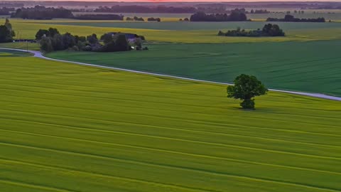 🌤️ Mindful Breathing Meditation | 432Hz Grabovoi Frequency for Renewal & Balance