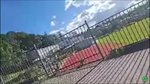 gODzilla VS KONG
