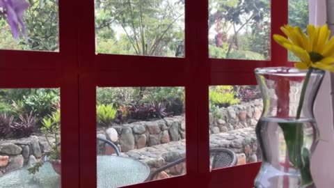 #reset Day 29 [30-Day Dance with 30-Seconds]