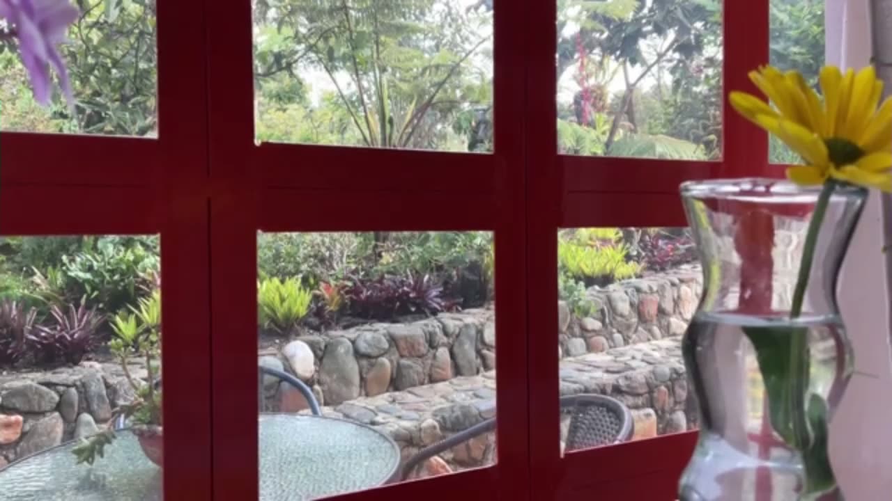 #reset Day 29 [30-Day Dance with 30-Seconds]