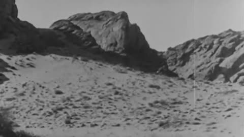 Black Cyclone (1925)