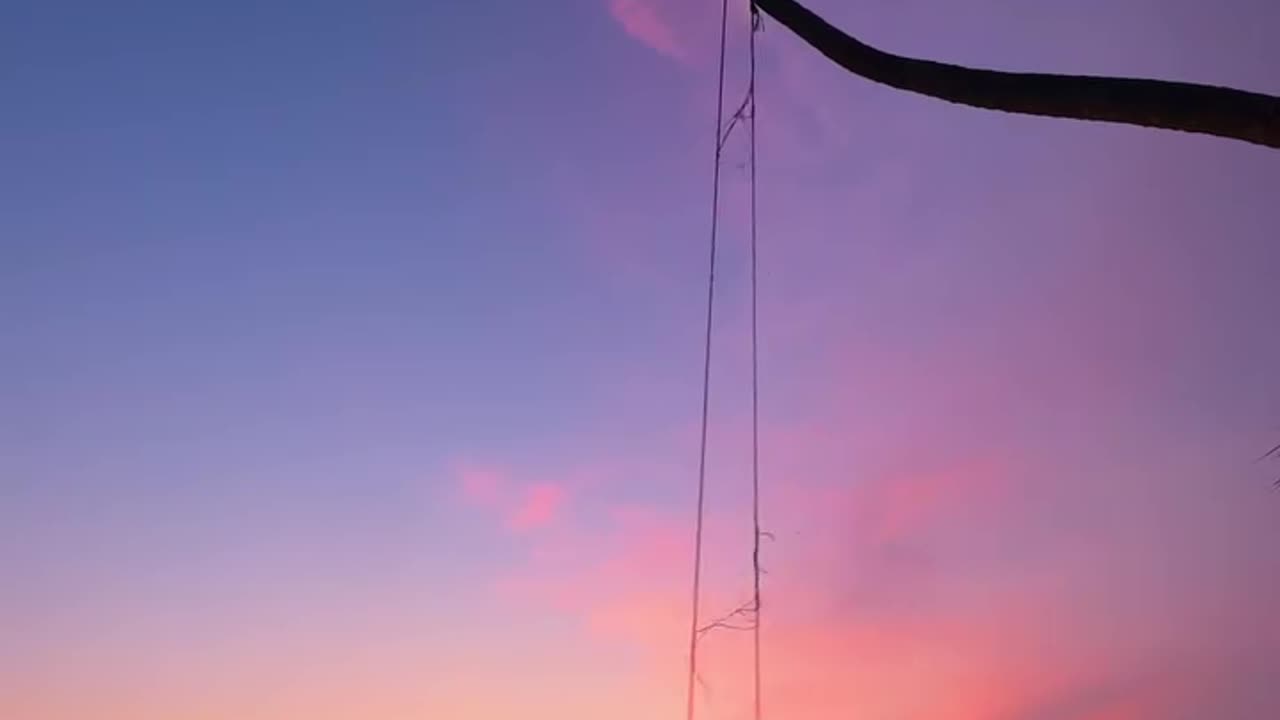 evening view