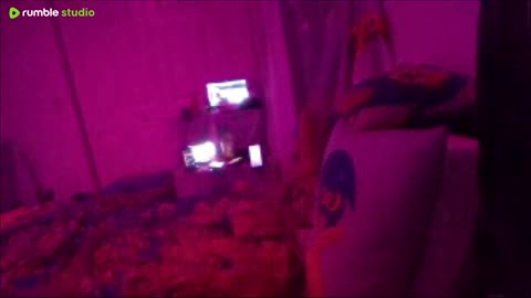 🔴Talk To Rabbi: Discord.me/Rabbi RABBI ROTHSCHILD AKA #ViralRabbi HAS SET THE GUINNESS WORLD RECORD