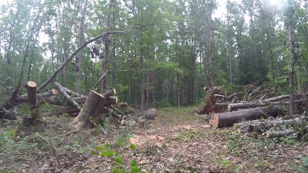 Upstate SC Trail Tour - Part II