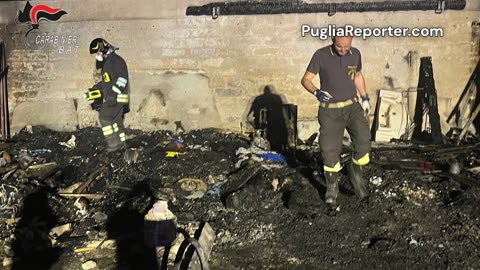 Bisceglie: lui muore nell'incendio. Il cane resta in attesa, invano, del ritorno del suo amico umano