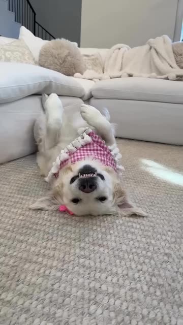 The Baby And Dog Make The Perfect Team! 😍👶🏻🐕😂😂😂