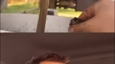is this oil?