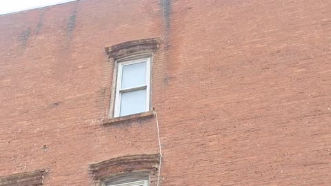 Old world tech?
