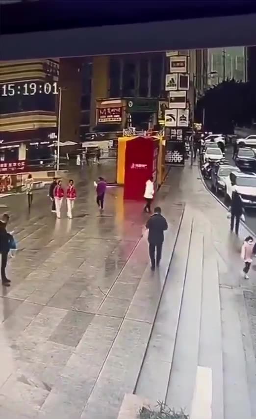 The incredible moment a long lost dog suddenly ...