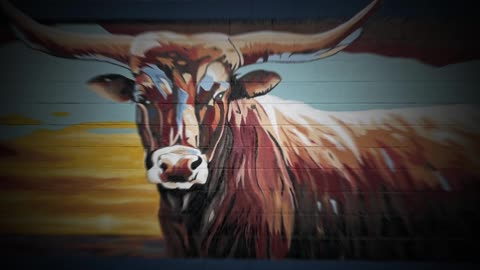 Infinium Podcast 08: "Protect What Is Rightfully Yours At All Costs!" REDPILL/MGTOW/MGTOWTRUTHS