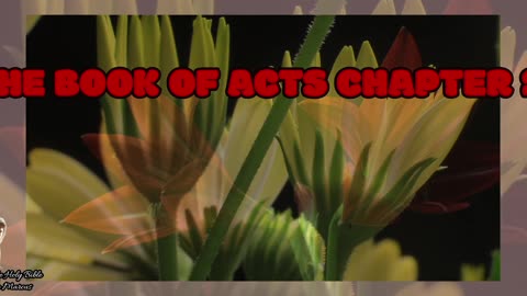 The book of Acts Chapter 20