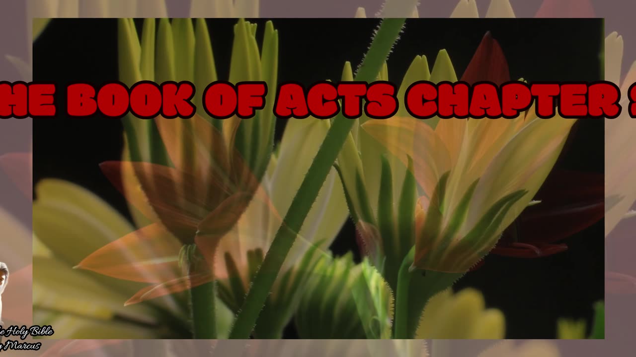 The book of Acts Chapter 20