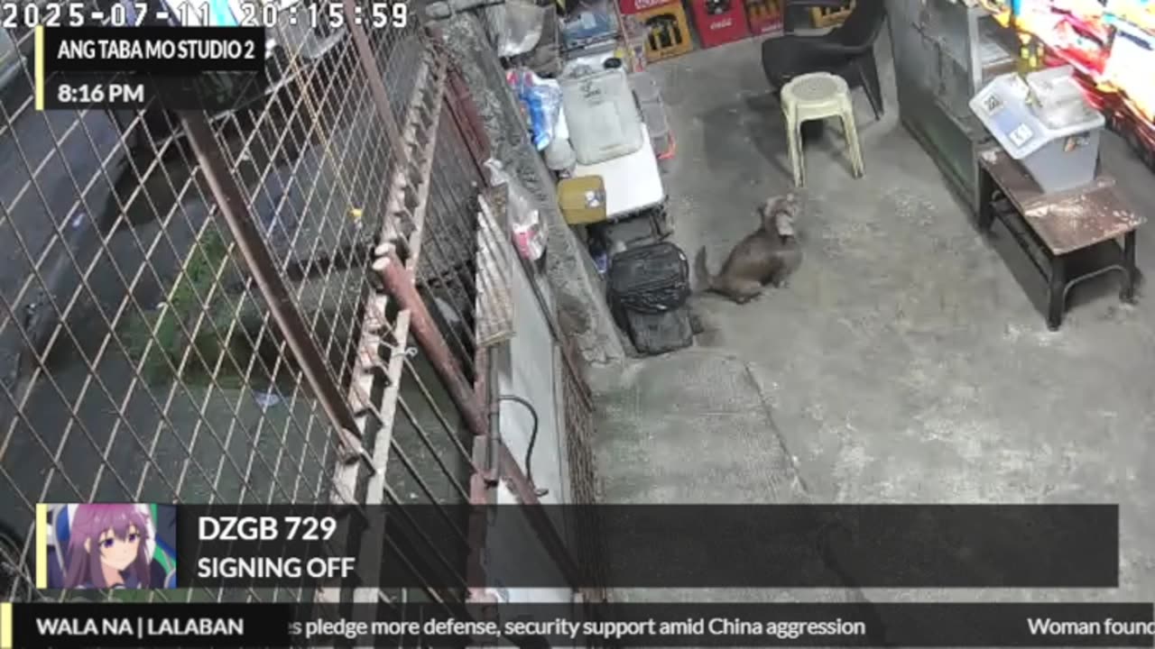 Mitsubishi Xpander 2019 Live