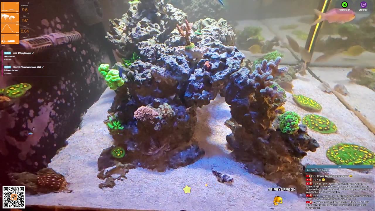 24/7 Real Live Reef Stream