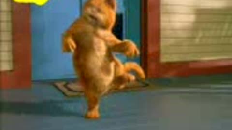 Funny cat and dog