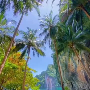 Tropisches Paradies Strand mit Palmen und türkisblauem Wasser