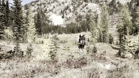 6 Day Solo Hike (got lost)