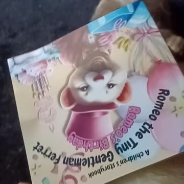 What's cooler than a ferret? A ferret with his own book series!