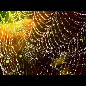 We Can Have Peace in the World