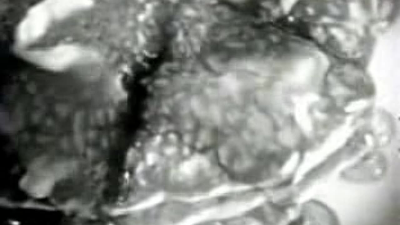 Commercial - Aunt Jemima Syrup 1966 jingle