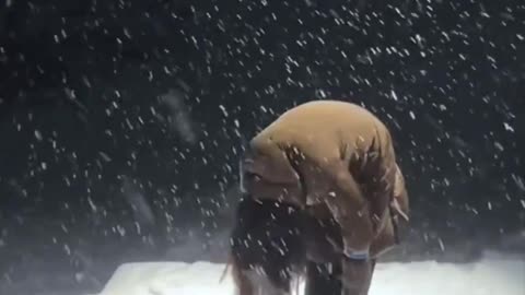 Greenlanders are trolling Trump and mocking America acting like they are fentanyl addicts.