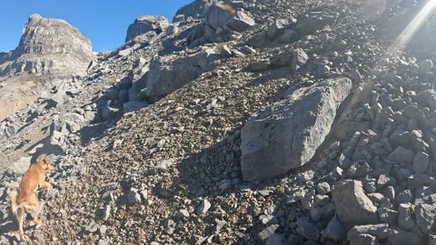 Finding fossilized coral while climbing in Ampay #Peru