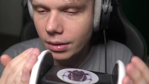 ASMR For My Little Echo Location Guinea Pigs