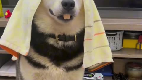 funny video clip😂