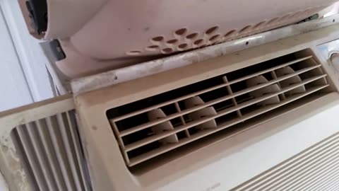 Does this air conditioner sound healthy