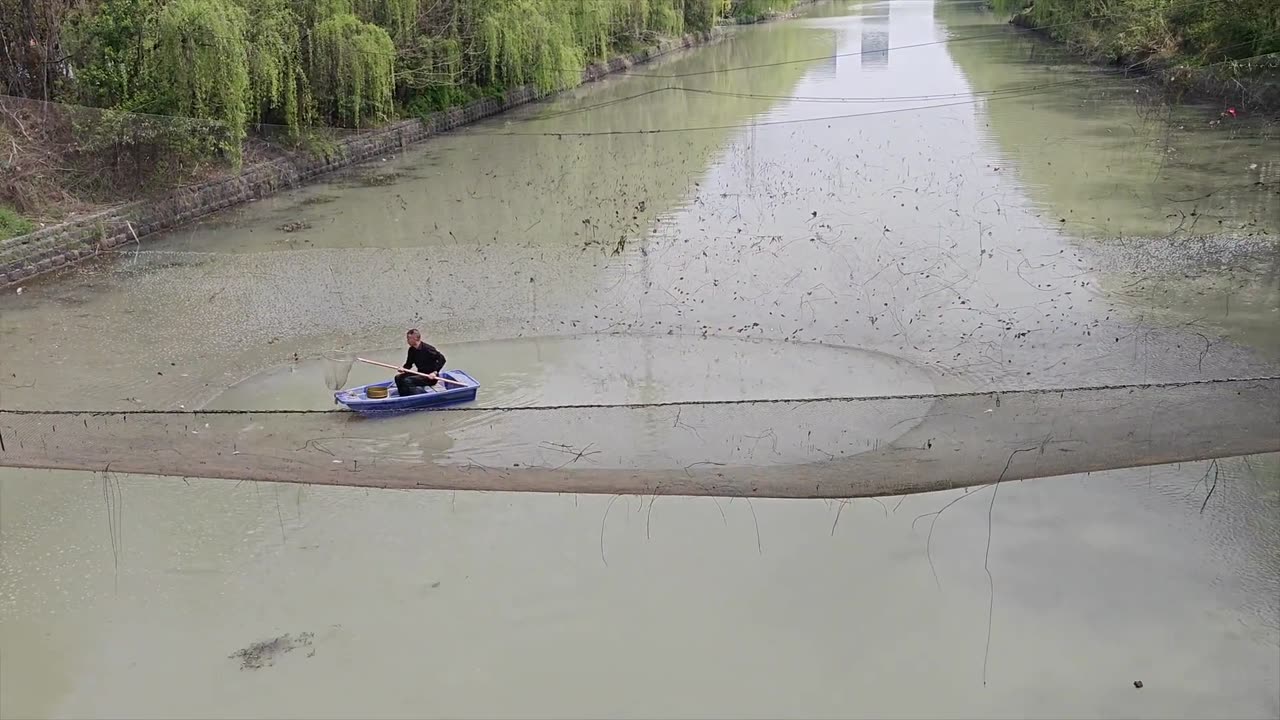 great fin