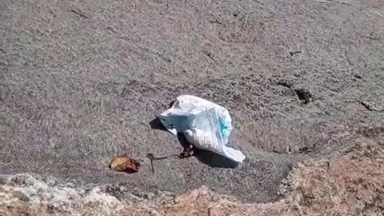 lil shit starters
