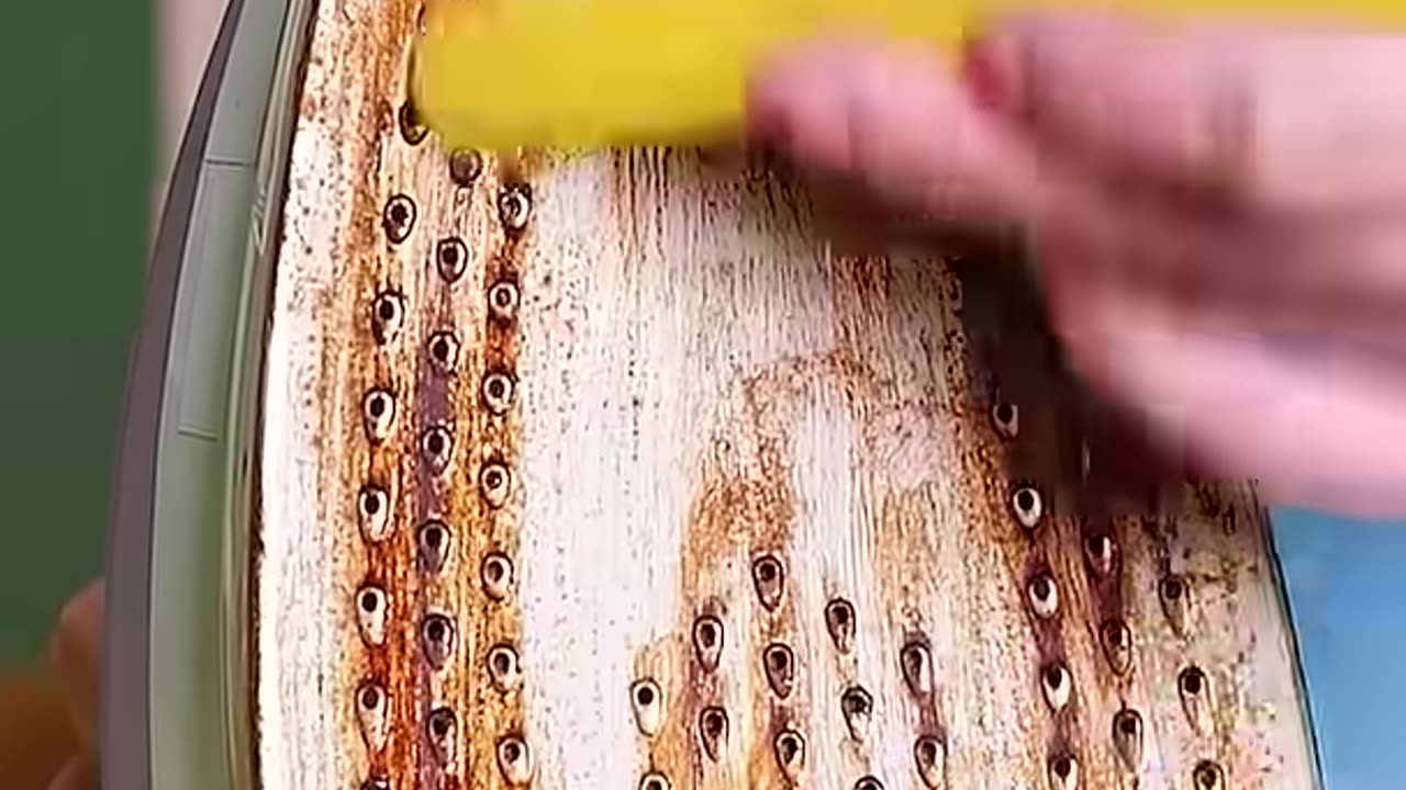 Life Hack by using Salt