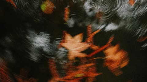 Ordinary [Instrumental]