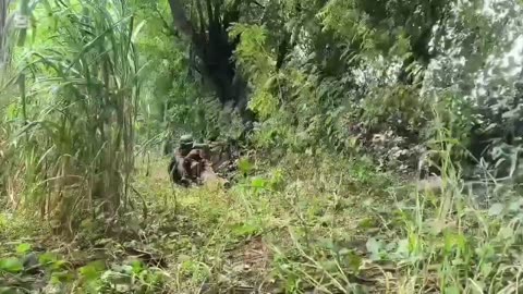 🇲🇲🔫 Myanmar War | PDF and TNLA Fighters Clash with Junta Troops in Mandalay | RCF