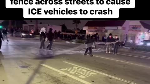 LA Insurrectionist Murder Random Drivers.