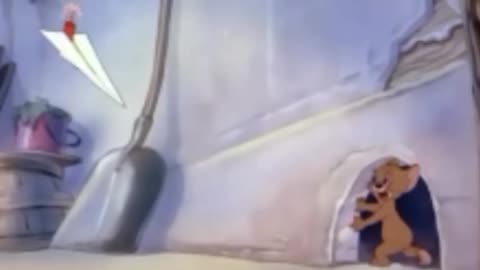 funny funny videos funny jokes funny animals funny memes funny movies funny bone funny pictures