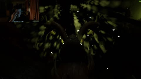 Bunny Queen's Curse