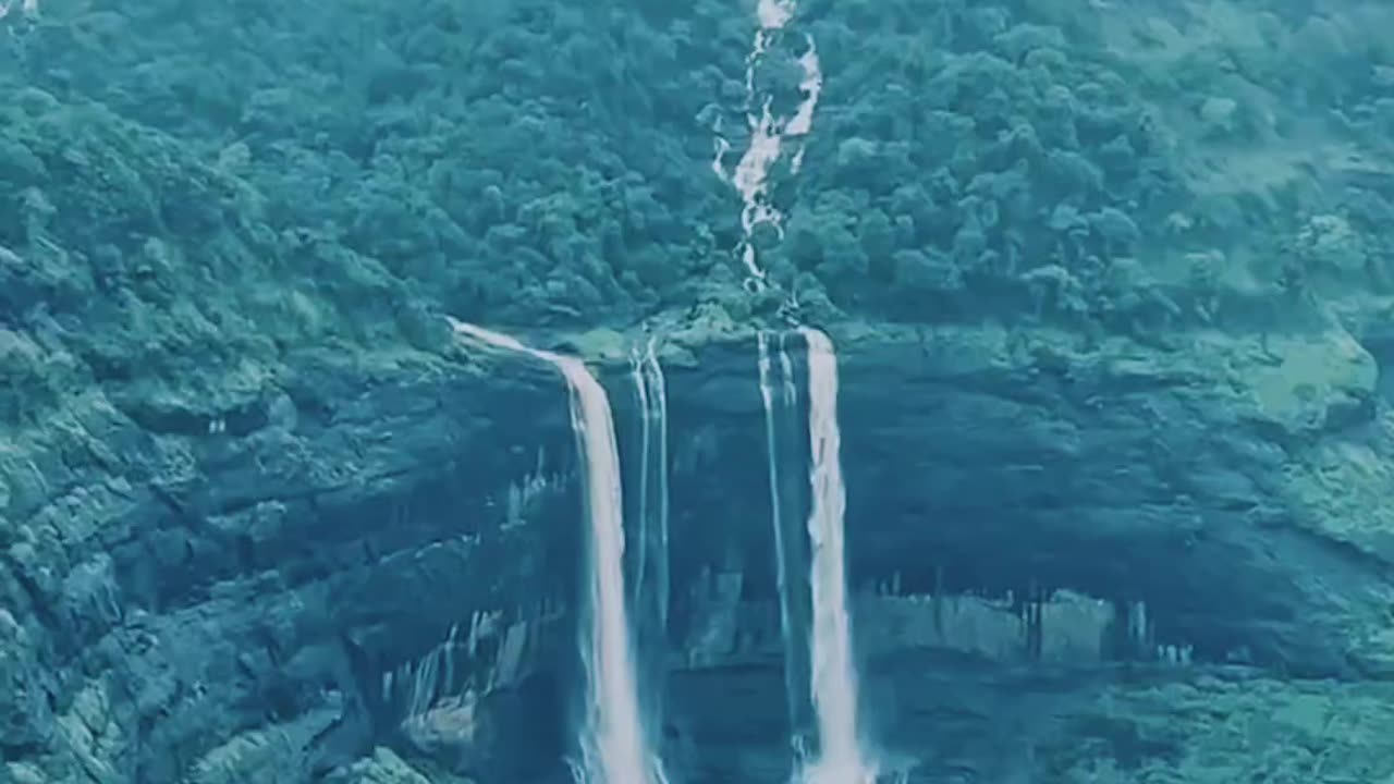 🌿Nature wants to say something 🌧️🌿