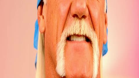 Hulk Hogans Sex Tape Scandal and Race Row as He B