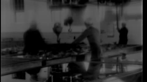 INSPECTION AND CANNING OF POULTRY, THE - INSPECTION AND CANNING OF POULTRY, THE - 33-415