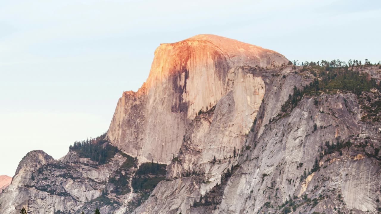 Too Real to Fake Song