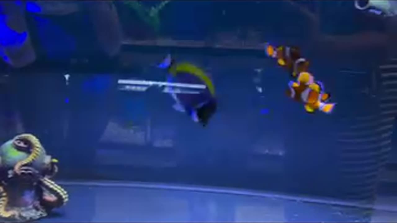Aquarium