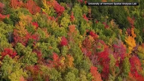 Best places to see vibrant fall colors in the U.S.