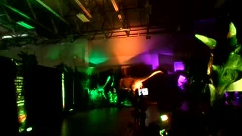 Walking about more dinosaurs