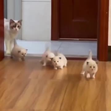 “Hey, I’m your mommy” 😂